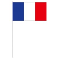 Sentez-vous déjà la victoire française dans l'air?