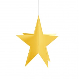 étoile de Noël