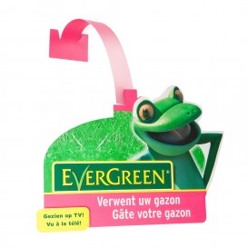 Evergreen