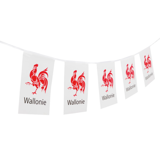 Government & organizations wallonie