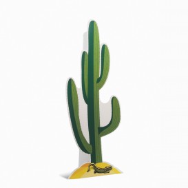 vloerdisplay Cactus