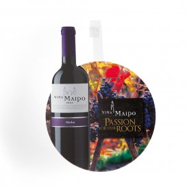 vina maipo merlot